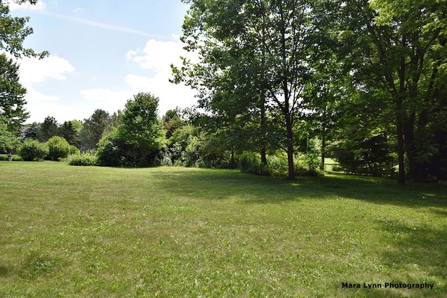 41 W039 Bowes Bend Dr, Elgin, IL 60124 photo 25