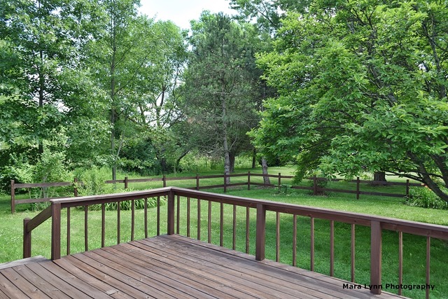 41 W039 Bowes Bend Dr, Elgin, IL 60124 photo 22