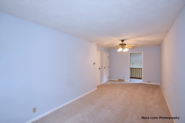 41 W039 Bowes Bend Dr, Elgin, IL 60124 photo 12