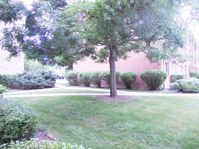 5402 Chateau Dr #3, Rolling Meadows, IL 60008 photo 17