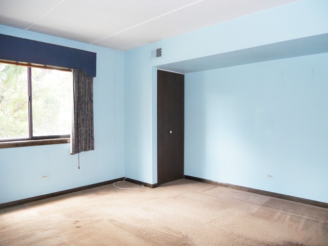 5402 Chateau Dr #3, Rolling Meadows, IL 60008 photo 13