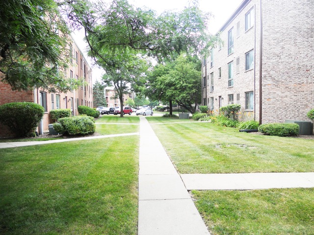 5402 Chateau Dr #3, Rolling Meadows, IL 60008 photo 16