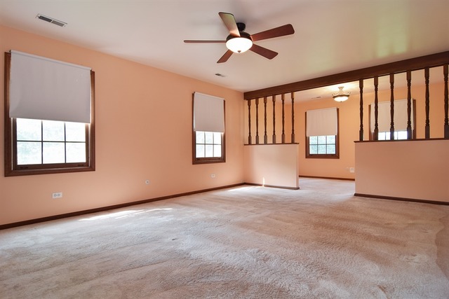 38 W445 Arrowmaker Pass, Elgin, IL 60124 photo 9