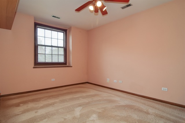 38 W445 Arrowmaker Pass, Elgin, IL 60124 photo 12