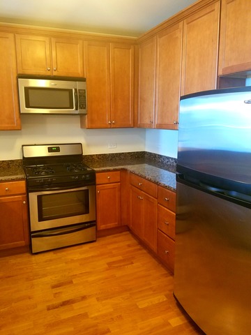 450 E Waterside Dr #1504, Chicago, IL 60601 photo 4