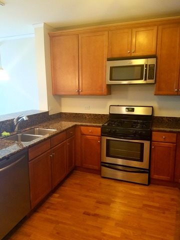 450 E Waterside Dr #1504, Chicago, IL 60601 photo 5