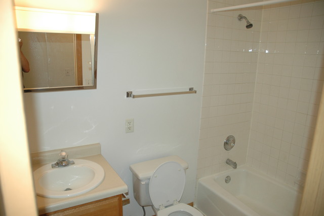 1420 Getzelman Dr, Elgin, IL 60123 photo 21