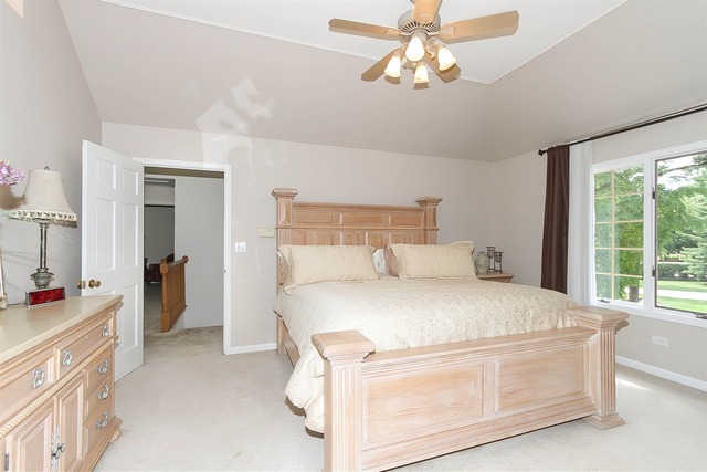 1109 Preserve Trl, Bartlett, IL 60103 photo 13