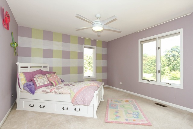 1109 Preserve Trl, Bartlett, IL 60103 photo 17