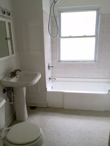 616 Elgin Ave, Forest Park, IL 60130 photo 5