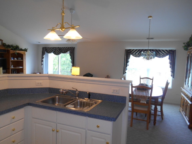 21222 W Walnut Dr #C, Plainfield, IL 60544 photo 5