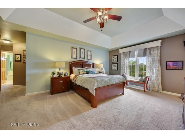 15747 Windmill Ln, Plainfield, IL 60544 photo 15