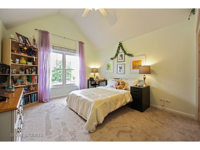 15747 Windmill Ln, Plainfield, IL 60544 photo 17