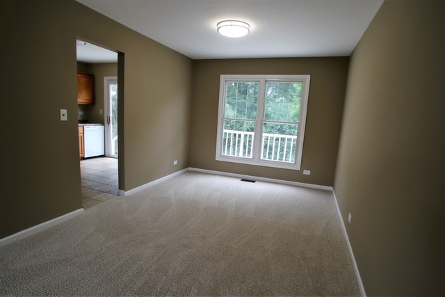 227 Scott Ct, Bartlett, IL 60103 photo 6