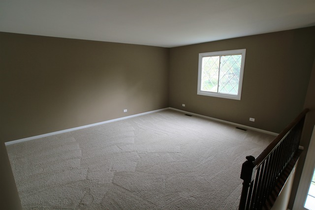 227 Scott Ct, Bartlett, IL 60103 photo 5