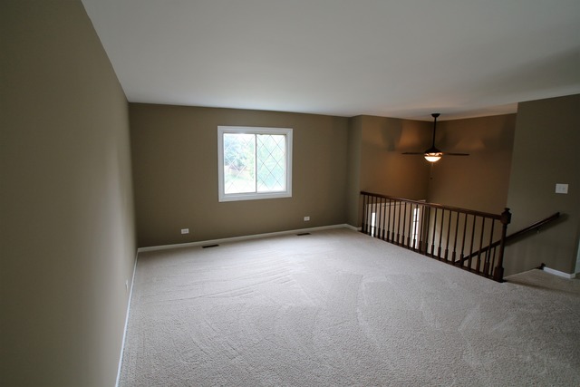 227 Scott Ct, Bartlett, IL 60103 photo 4