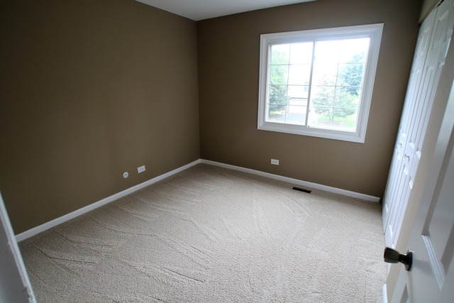227 Scott Ct, Bartlett, IL 60103 photo 9