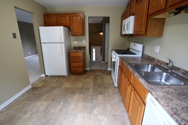 227 Scott Ct, Bartlett, IL 60103 photo 3