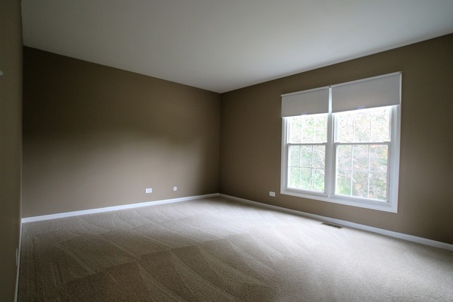 227 Scott Ct, Bartlett, IL 60103 photo 7
