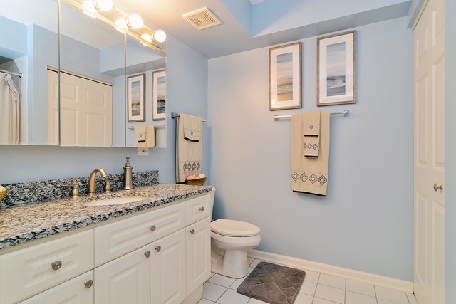 7031 W Touhy Ave #307, Niles, IL 60714 photo 8