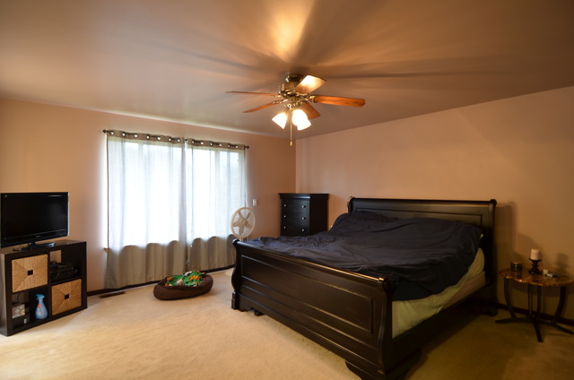 7100 W Pauling Rd, Monee, IL 60449 photo 11