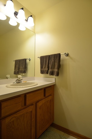 7100 W Pauling Rd, Monee, IL 60449 photo 9