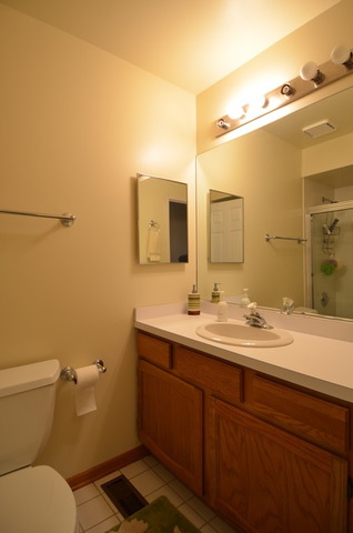 7100 W Pauling Rd, Monee, IL 60449 photo 16