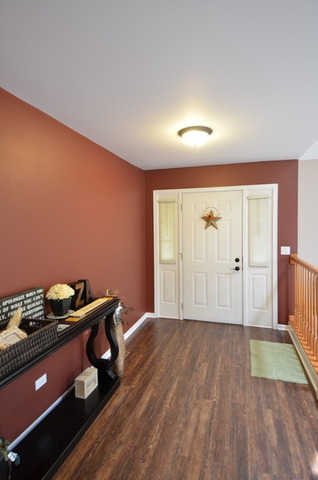 7100 W Pauling Rd, Monee, IL 60449 photo 2