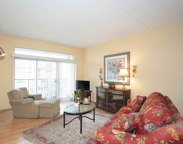 3135 Town Square Dr #107, Rolling Meadows, IL 60008 photo 4