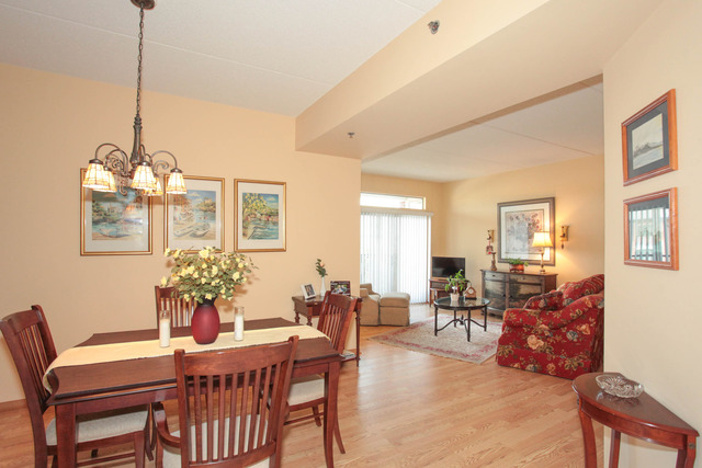3135 Town Square Dr #107, Rolling Meadows, IL 60008 photo 5