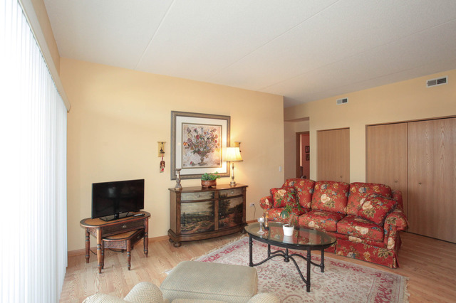 3135 Town Square Dr #107, Rolling Meadows, IL 60008 photo 3