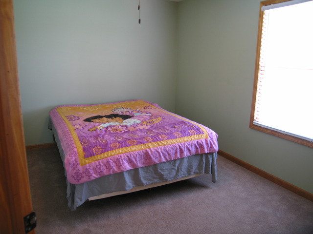 2631 E 2425th Rd, Marseilles, IL 61341 photo 16