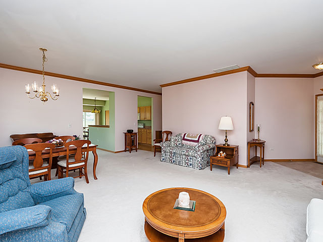 21007 W Walnut Dr, Plainfield, IL 60544 photo 6