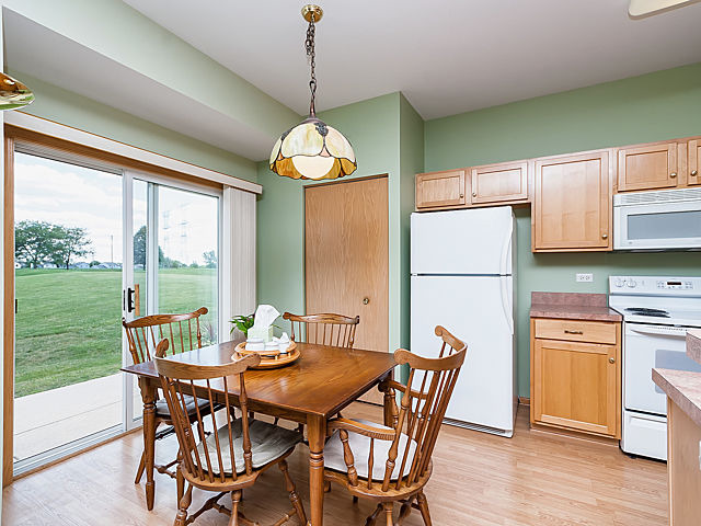 21007 W Walnut Dr, Plainfield, IL 60544 photo 12