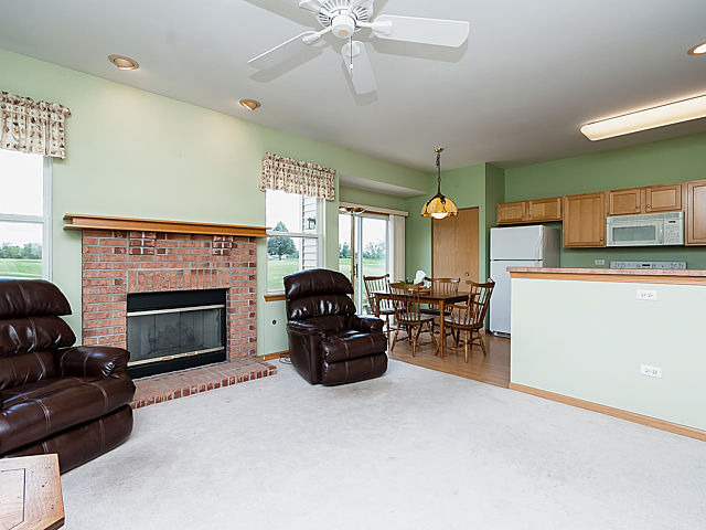 21007 W Walnut Dr, Plainfield, IL 60544 photo 14