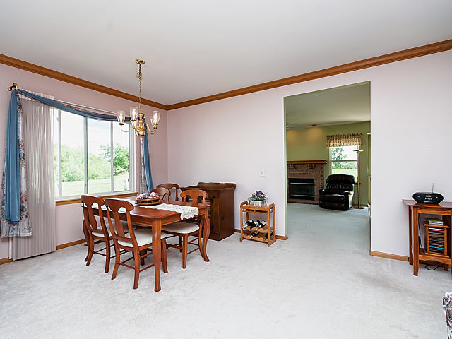 21007 W Walnut Dr, Plainfield, IL 60544 photo 7