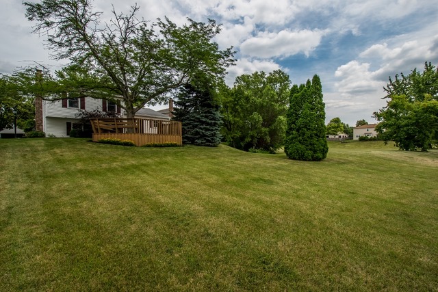 690 Randi Ln, Hoffman Estates, IL 60169 photo 22