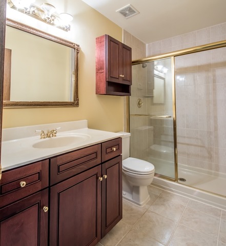 690 Randi Ln, Hoffman Estates, IL 60169 photo 19