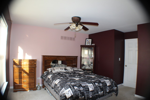 7207 Courtwright Ct, Plainfield, IL 60586 photo 7