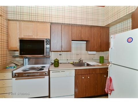 175 E Delaware Pl #4822, Chicago, IL 60611 photo 5