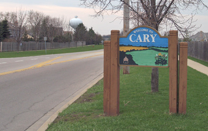 95 Pine Cir, Cary, IL 60013 photo 20