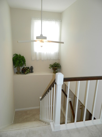 4441 Westbridge Ct, Hoffman Estates, IL 60192 photo 14