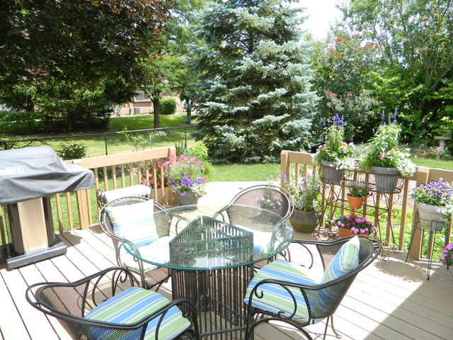 4441 Westbridge Ct, Hoffman Estates, IL 60192 photo 22