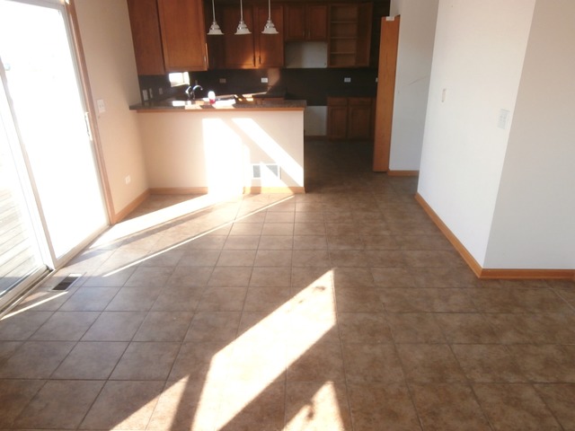 25141 Spring St, Manhattan, IL 60442 photo 4