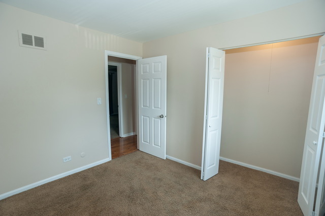 828 Grant St, Bartlett, IL 60103 photo 15