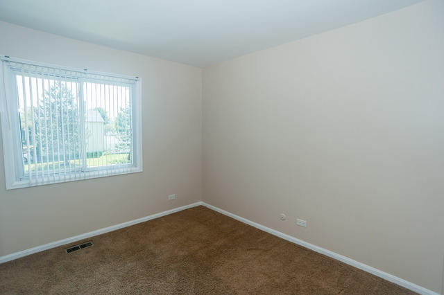 828 Grant St, Bartlett, IL 60103 photo 17