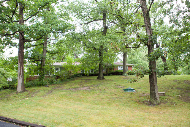23000 Sherman Rd, Steger, IL 60475 photo 1