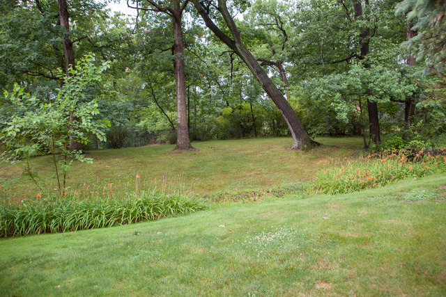 23000 Sherman Rd, Steger, IL 60475 photo 25