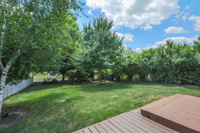 4408 Cove Cir, Plainfield, IL 60586 photo 24