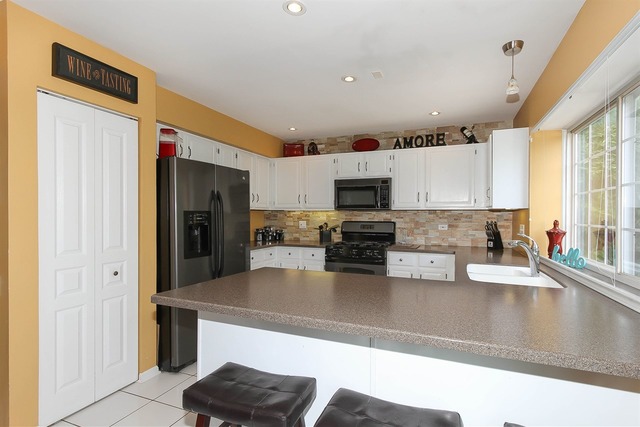 413 Monarch Birch Ln, Bartlett, IL 60103 photo 11